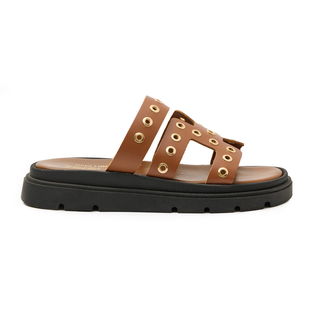 Flatform FF480 - Ταμπά