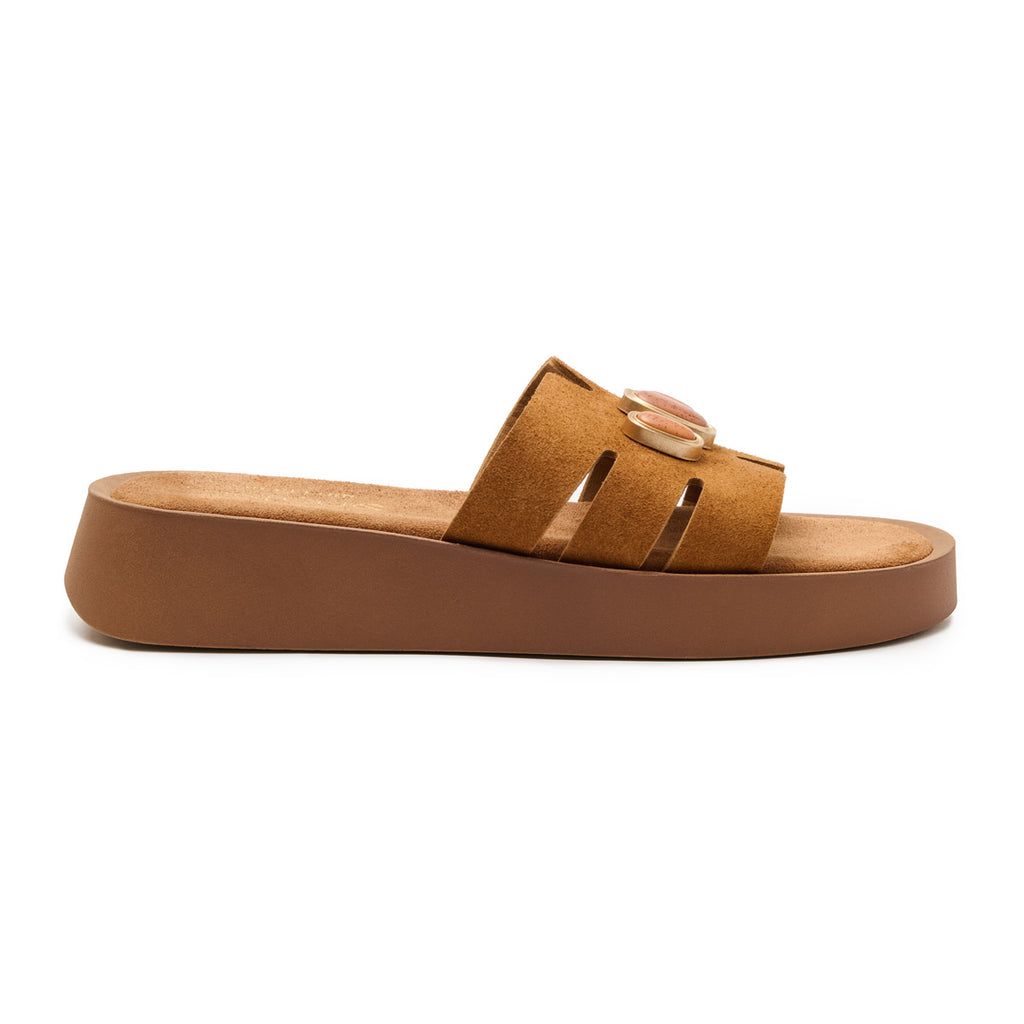 Flatform Soft FF950 - Ταμπά Καστόρι