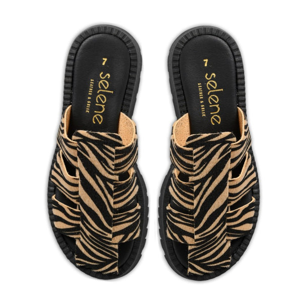 Flatform Soft FF310 - Ζέμπρα