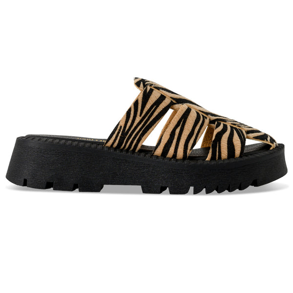 Flatform Soft FF310 - Ζέμπρα