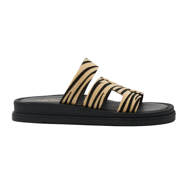 Flatform Soft FF610 - Ζέμπρα